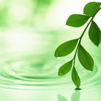 �s�����m,�Ɗw,���i,�׋��@