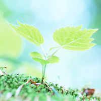 �s�����m,�Ɗw,���i,�׋��@